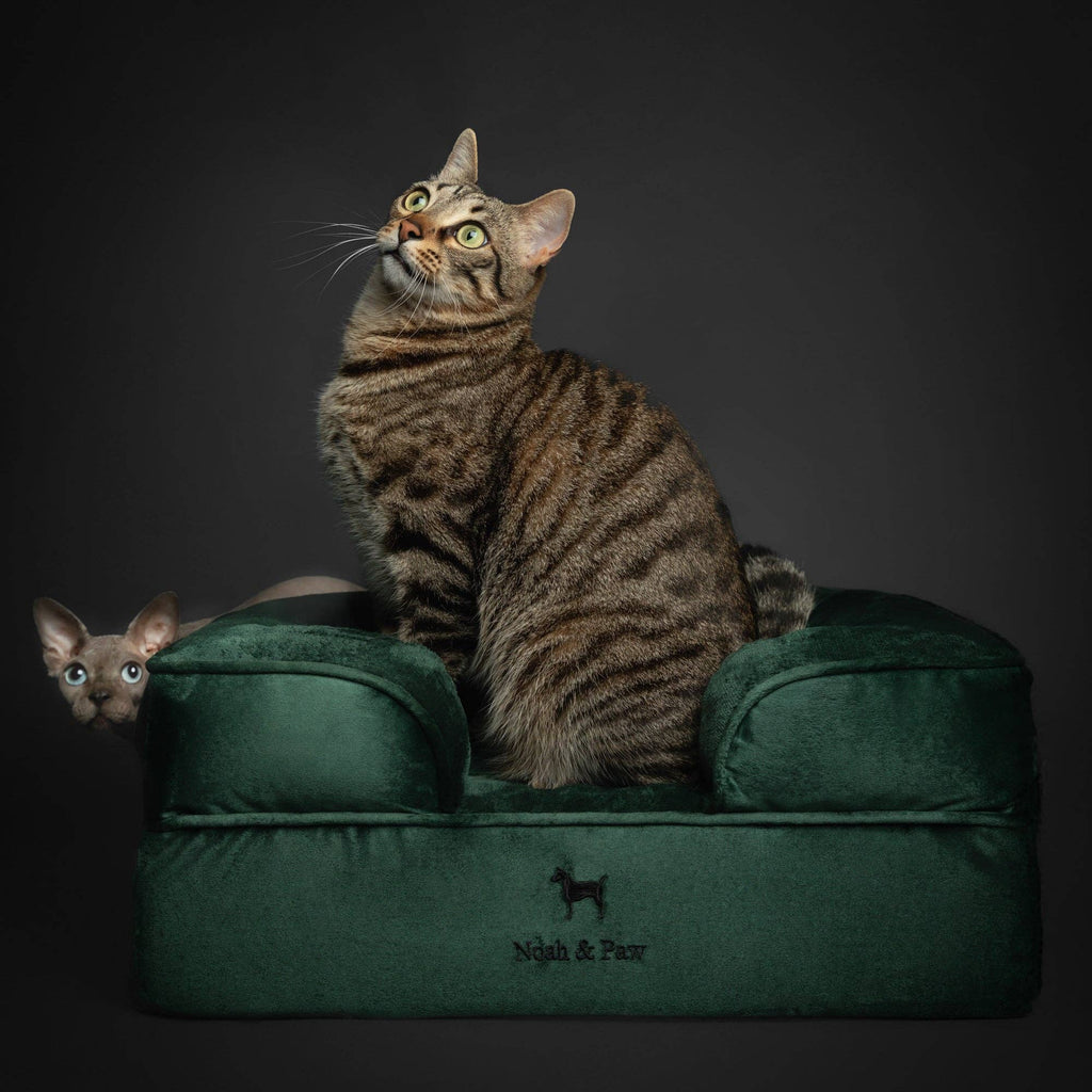 Velvet Orthopedic Pet Bed, Cooling Gel Memory Foam: S [20*15*8] / Brown