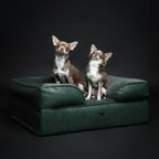 Faux Leather Orthopedic Pet Bed, Cooling Gel Foam, Sofa: Dark Green / S [20*15*8]