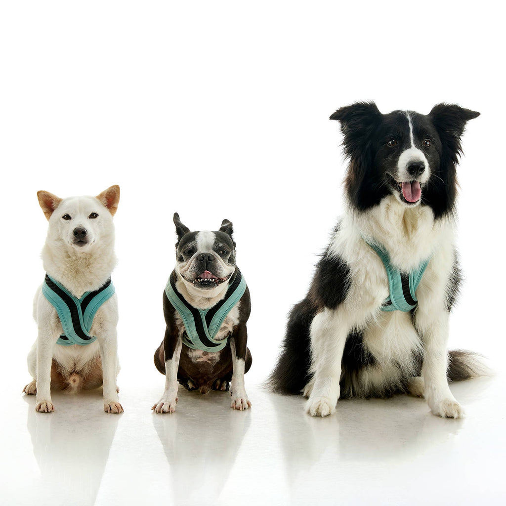 #04231 - Escape Free Comfort X One Harness: Portland Green / 2X-Large