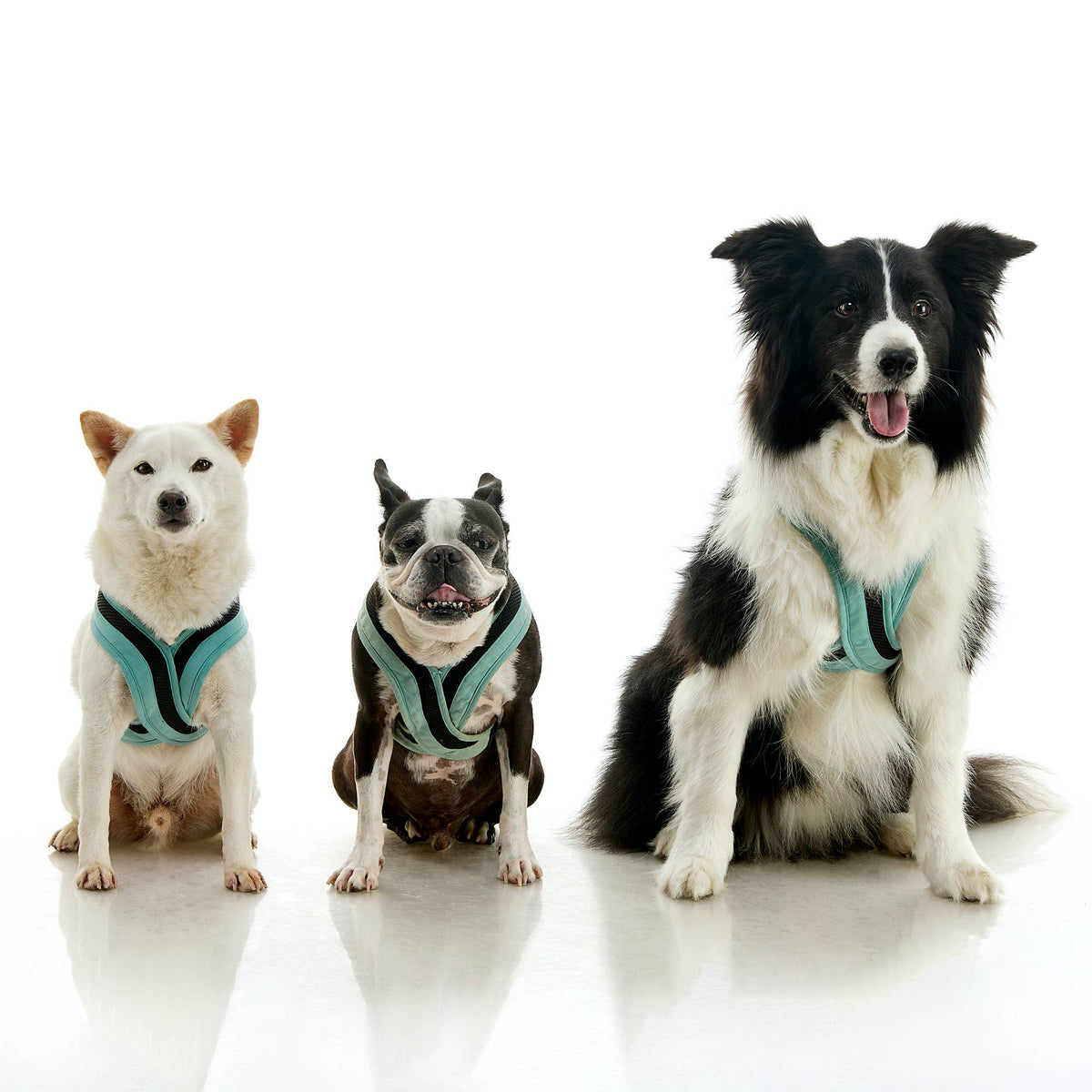 #04231 - Escape Free Comfort X One Harness: Portland Green / 2X-Large
