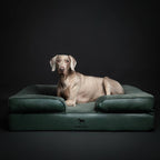 Faux Leather Orthopedic Pet Bed, Cooling Gel Foam, Sofa: Dark Green / S [20*15*8]