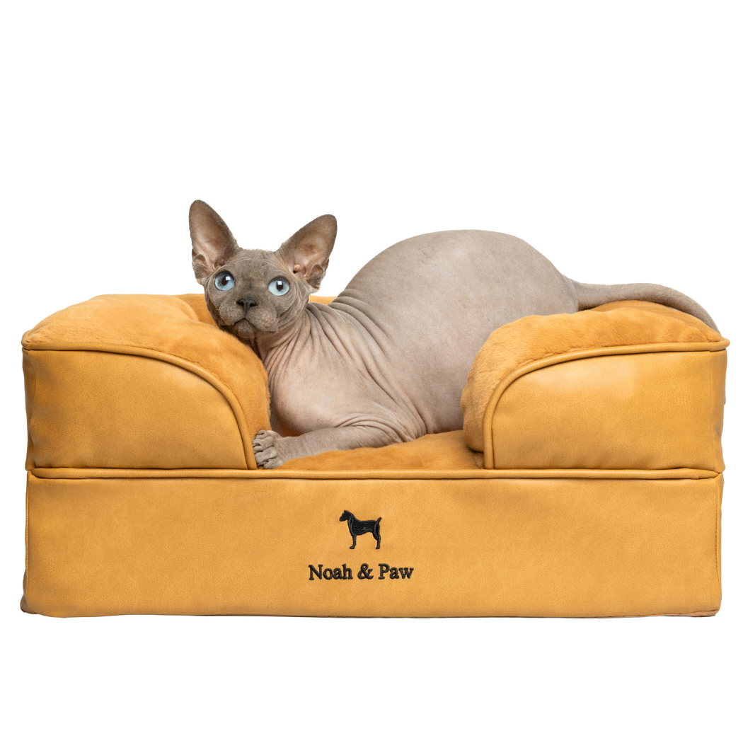 Noah & Paw Orthopedic Sofa Bed | Camel | Medium