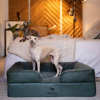 Faux Leather Orthopedic Pet Bed, Cooling Gel Foam, Sofa: Dark Green / S [20*15*8]
