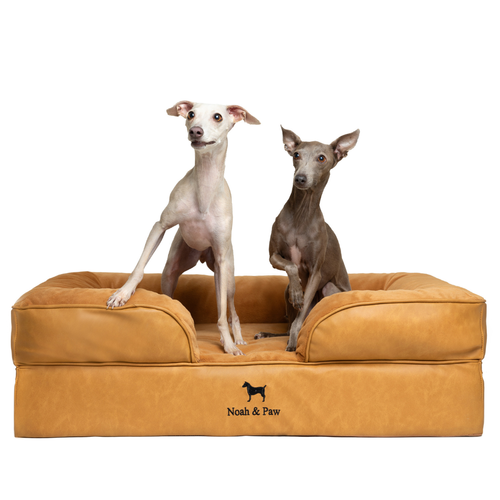 Noah & Paw Orthopedic Sofa Bed | Camel | Medium