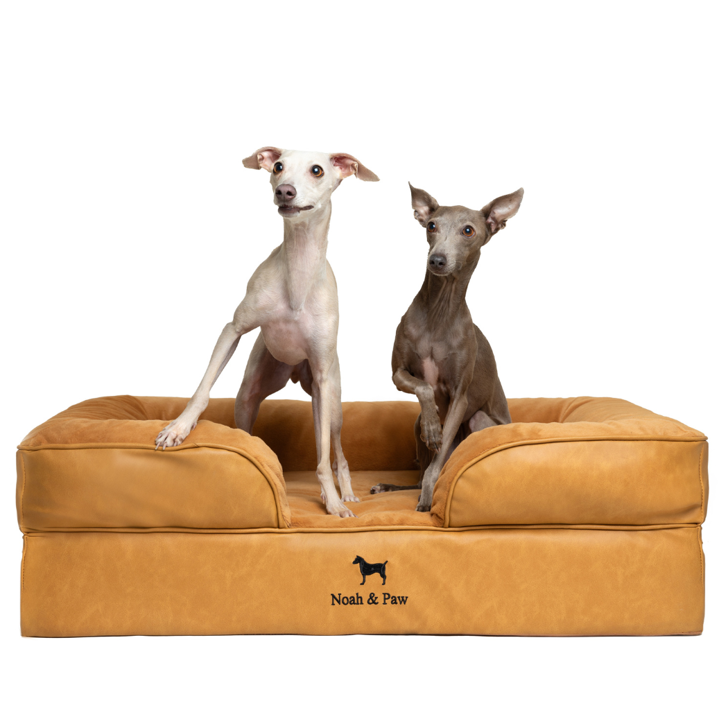 Noah & Paw Orthopedic Sofa Bed | Camel | Medium
