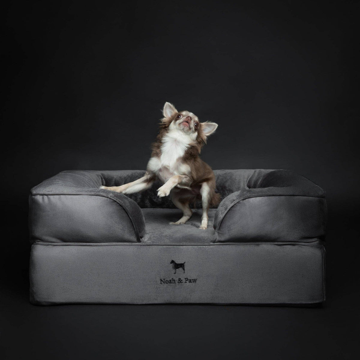 Velvet Orthopedic Pet Bed, Cooling Gel Memory Foam: S [20*15*8] / Brown