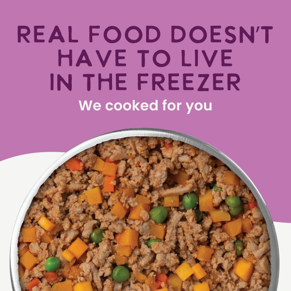 Gently Cooked Grain Free Salmon Recipe: 9oz pouch 10 pack