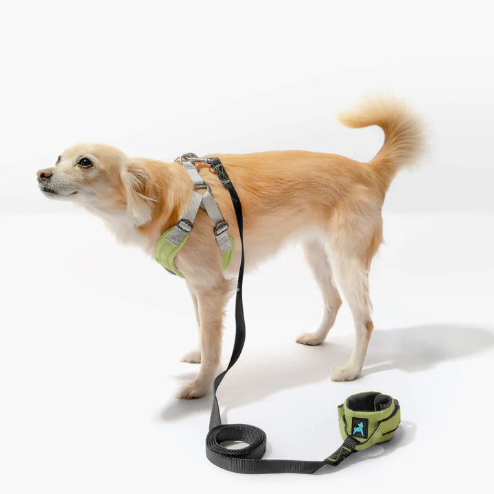 Ripstop Wristband Hands-Free Leash | Green | 6 Foot