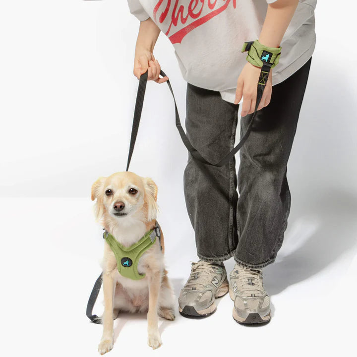 Ripstop Wristband Hands-Free Leash | Green | 6 Foot