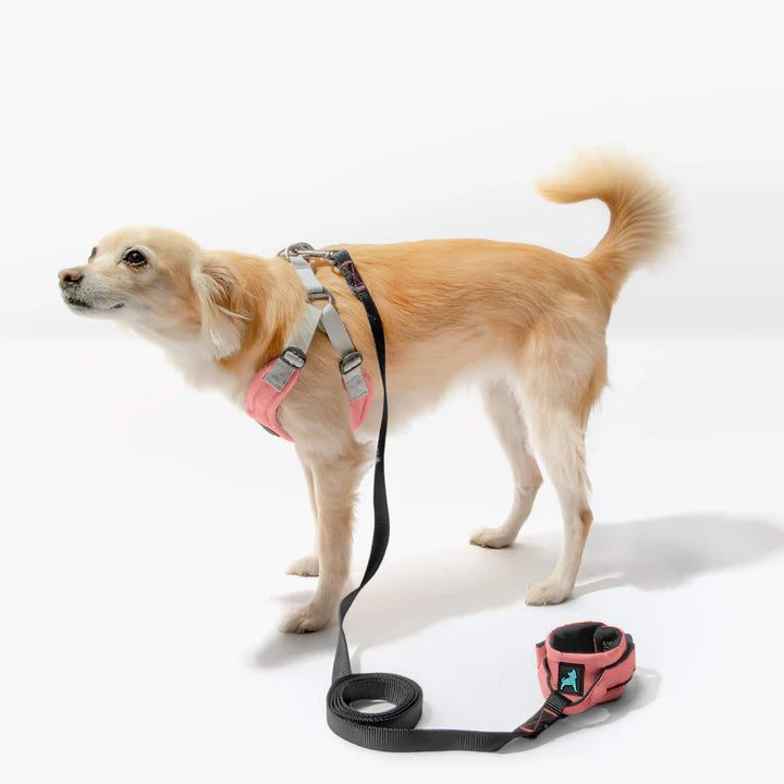 Ripstop Wristband Hands-Free Leash | Pink | 6 Foot