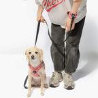Ripstop Wristband Hands-Free Leash | Pink | 6 Foot