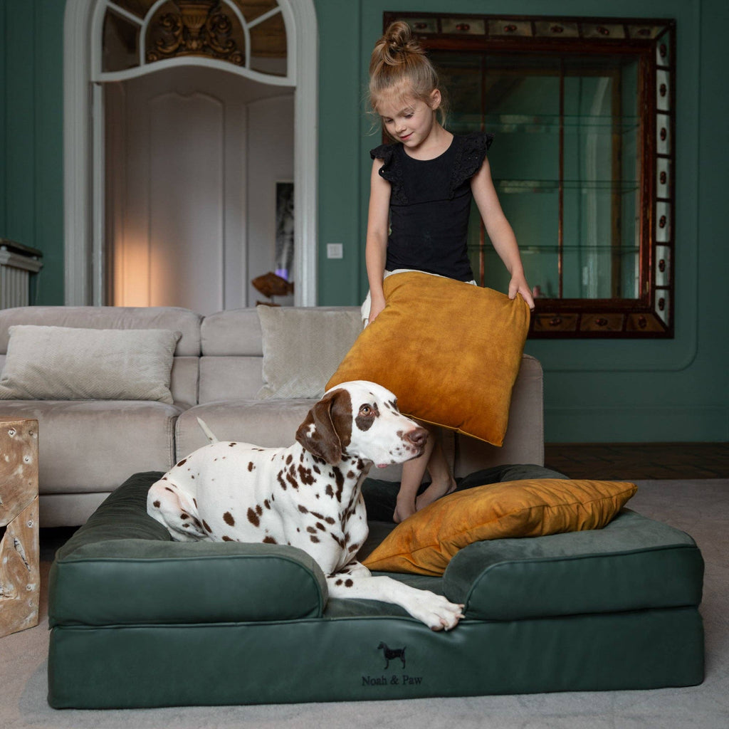 Faux Leather Orthopedic Pet Bed, Cooling Gel Foam, Sofa: Dark Green / S [20*15*8]