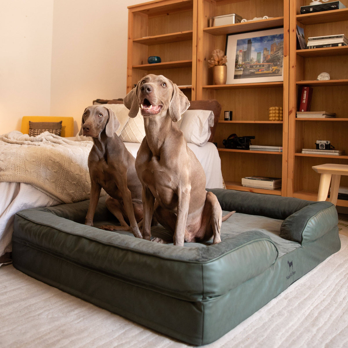 Faux Leather Orthopedic Pet Bed, Cooling Gel Foam, Sofa: Dark Green / S [20*15*8]