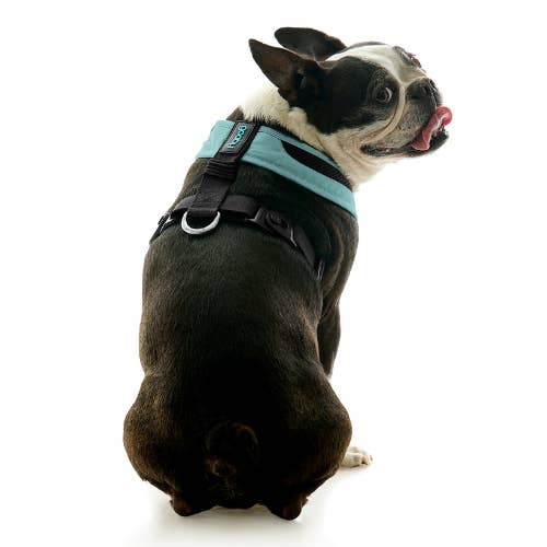 #04231 - Escape Free Comfort X One Harness: Portland Green / 2X-Large