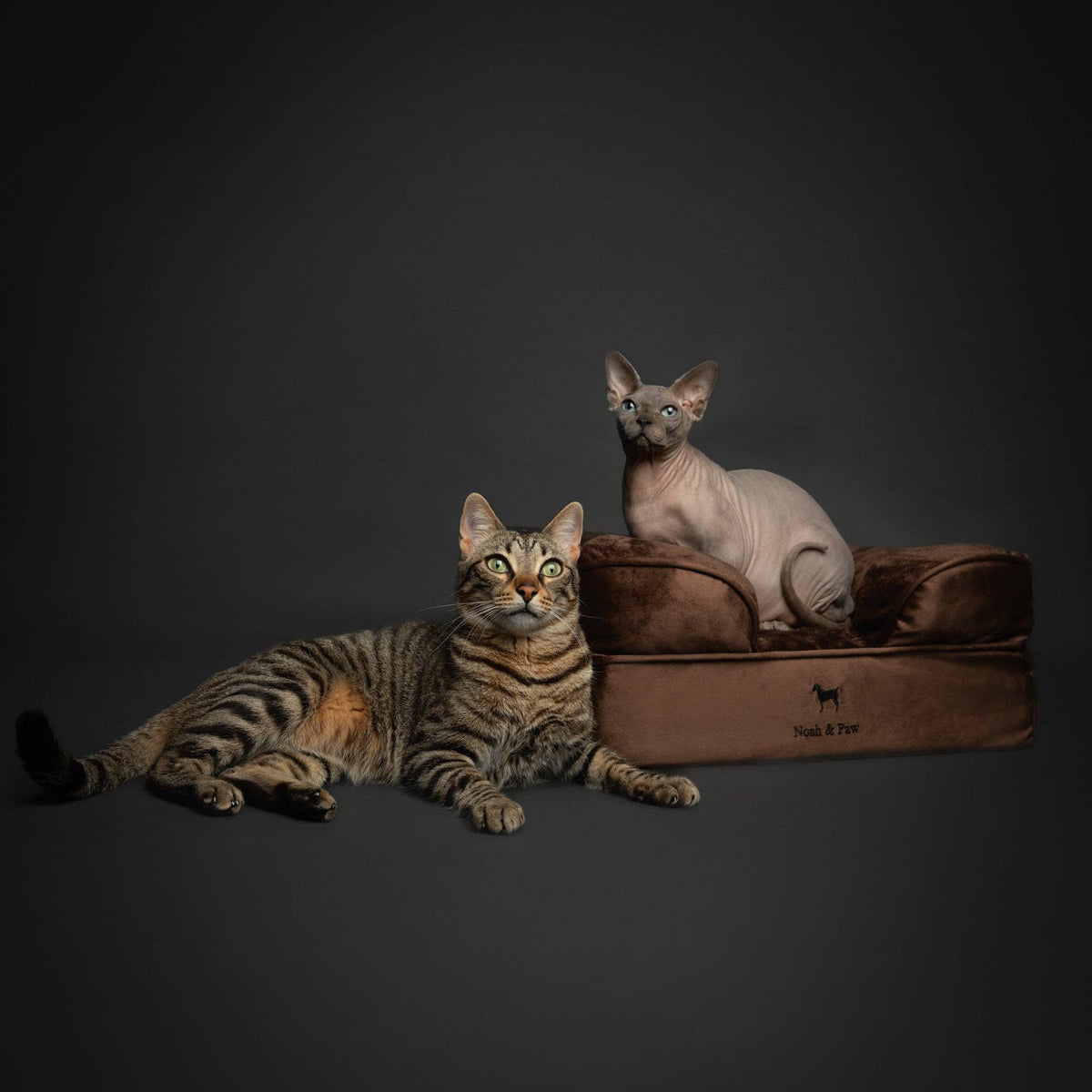 Velvet Orthopedic Pet Bed, Cooling Gel Memory Foam: S [20*15*8] / Brown