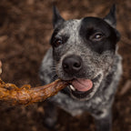 Skinless Turkey Neck | All-Natural Dog Chew