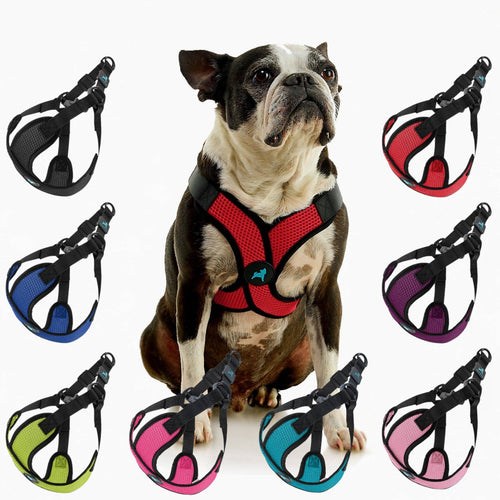 #04234 - Comfort X Step In Lite Harness: Pink / Small Chest (14-17")