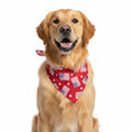 Aria Paws N Stripes Forever Dog Bandana