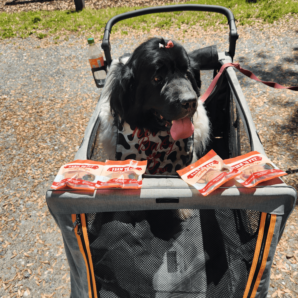 Turkey Chips Healthy Dog Snack Pack Bundle (24 pack): 24