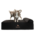 Noah & Paw Classic Orthopedic Bed | Black Denim | Medium