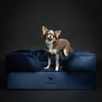 Velvet Orthopedic Pet Bed, Cooling Gel Memory Foam: S [20*15*8] / Brown