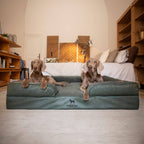 Faux Leather Orthopedic Pet Bed, Cooling Gel Foam, Sofa: Black / XL [45*35*11]