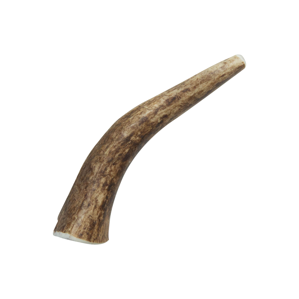 Natural Elk Antlers - Whole: Small Whole