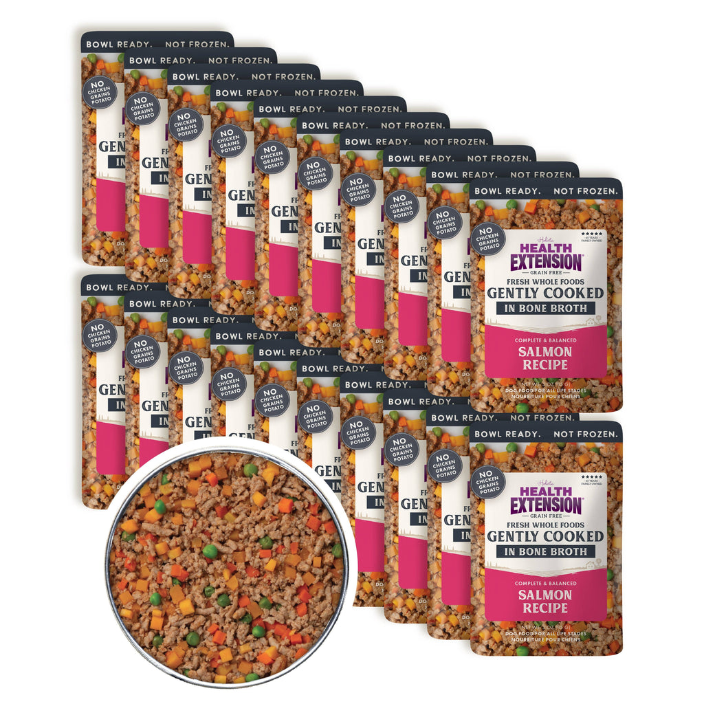 Gently Cooked Grain Free Salmon Recipe: 9oz pouch 5 pack