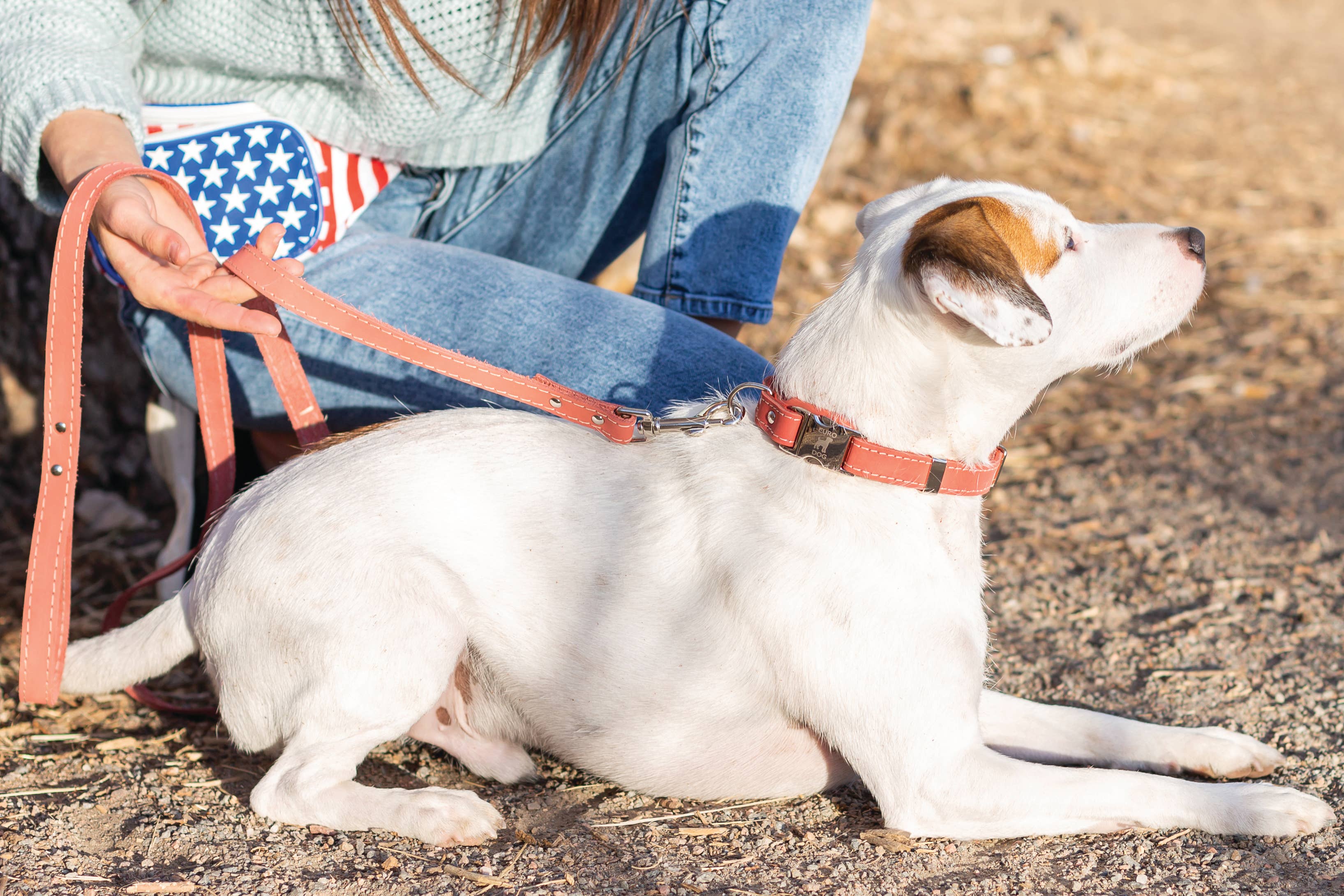 Pro Leather Dog Leash | Tan | Small