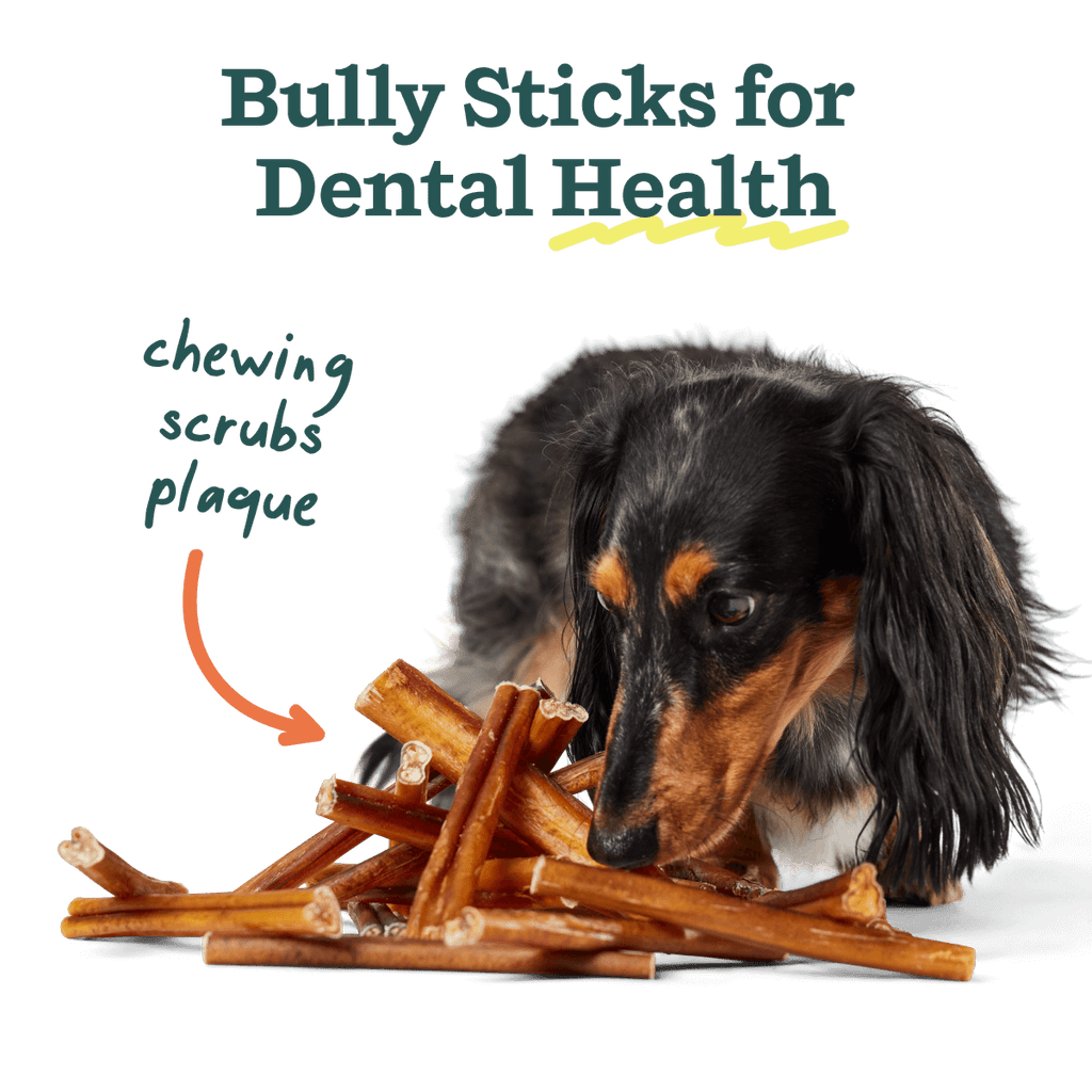 BullySafe Chews - BullySticks: Beef / 12-inch 5 pack