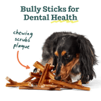 BullySafe Chews - BullySticks: Beef / 12-inch 5 pack