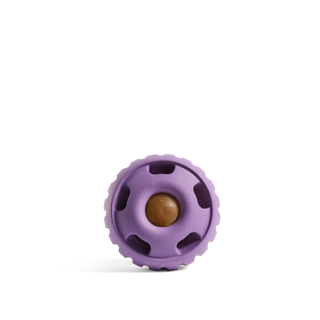 The Pupsicle - Lavender: X-Large
