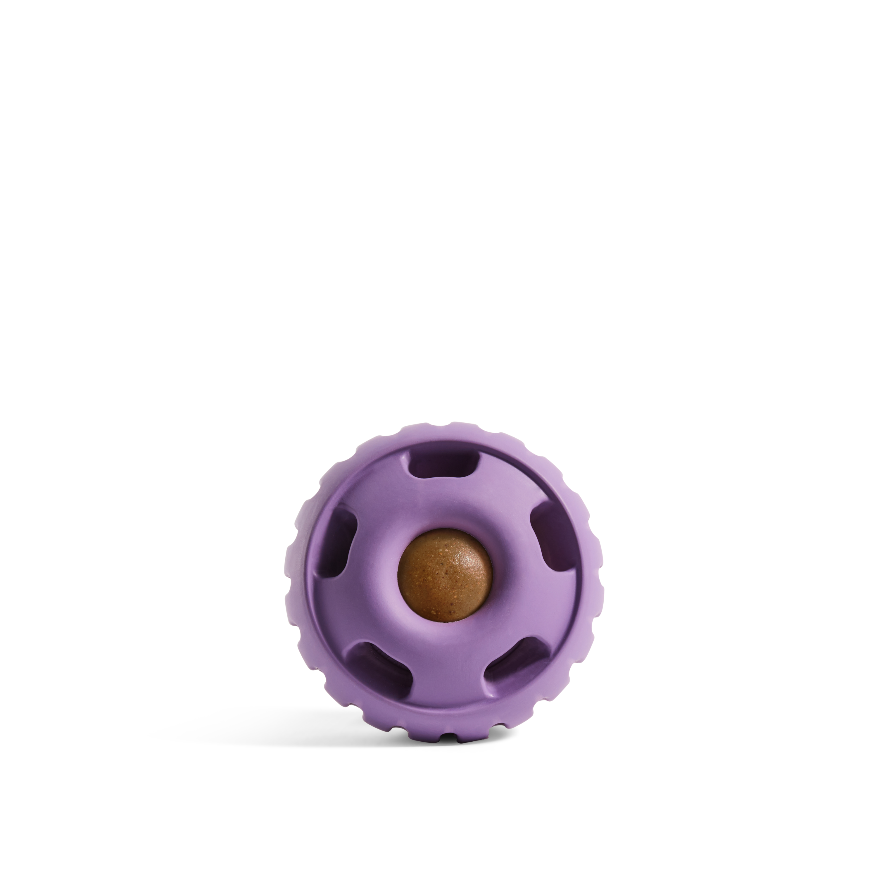 The Pupsicle - Lavender: X-Large