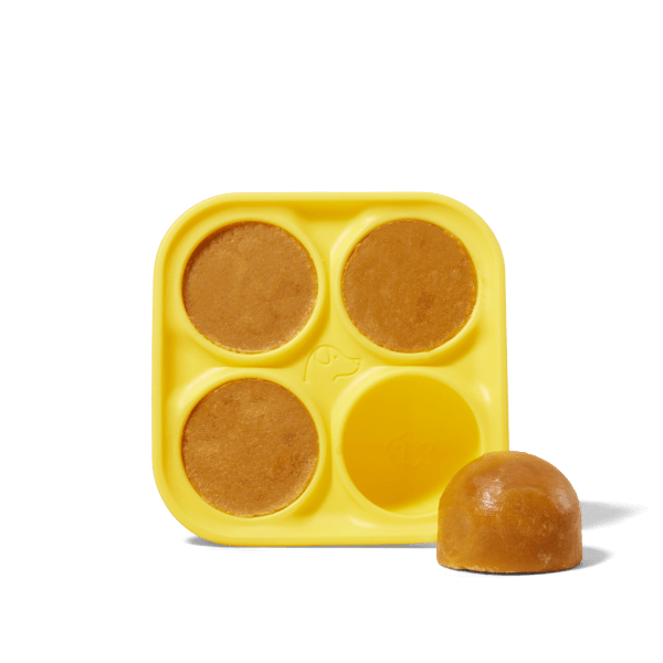 Pupsicle Treat Tray | Large