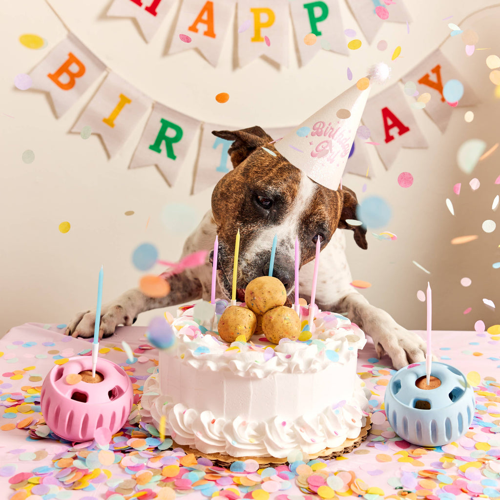 Party Pupsicle: Pink / Small