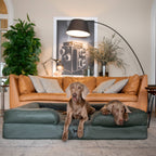 Faux Leather Orthopedic Pet Bed, Cooling Gel Foam, Sofa: Dark Green / S [20*15*8]