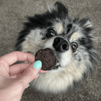 Beef Chips Dog Treats | 4 oz