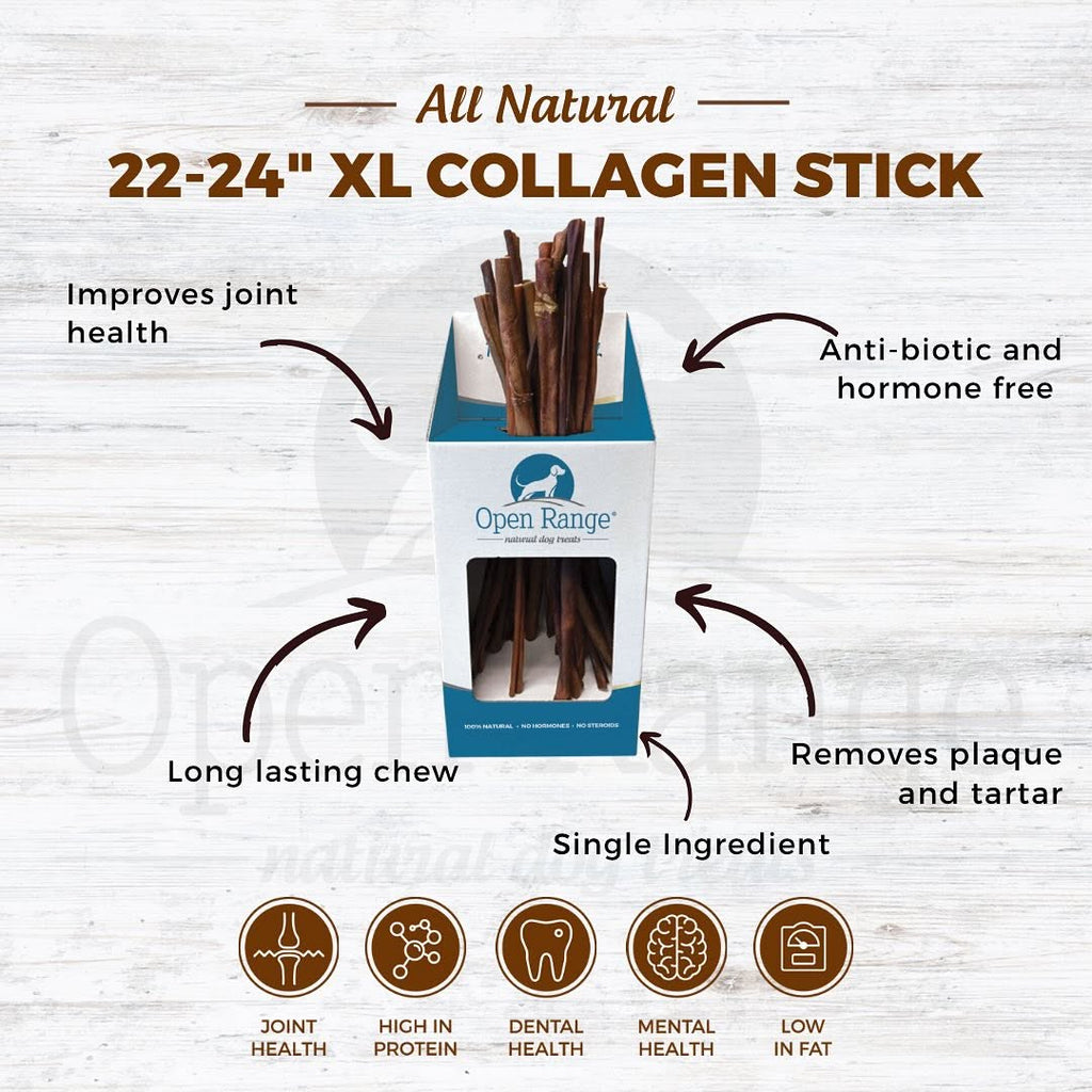 Home Range Beef Collagen Stick | XL 22–24”