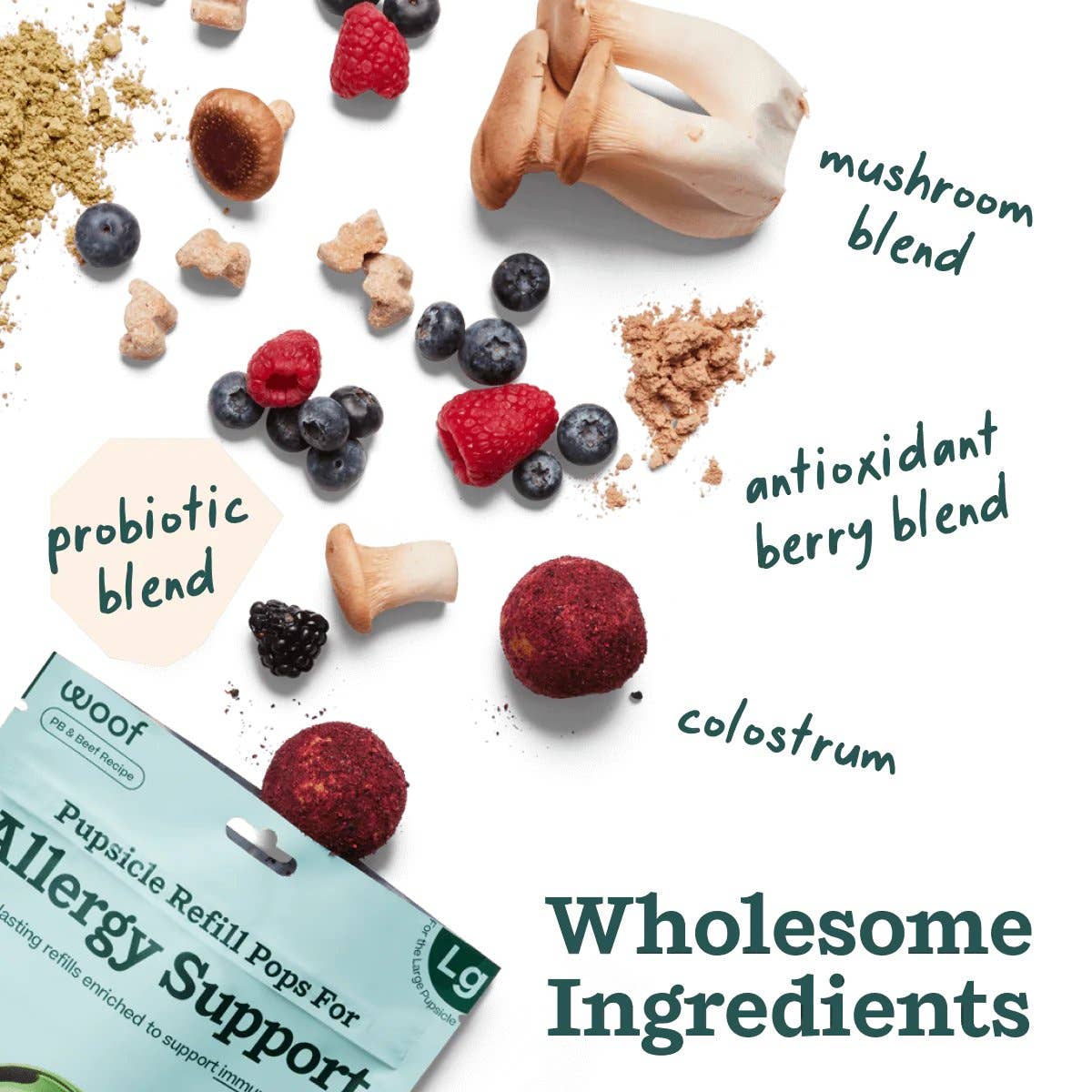 Allergy Support Wellness Pops | Extra Large