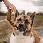 Skinless Turkey Neck | All-Natural Dog Chew