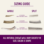 Natural Elk Antlers - Whole: Small Whole