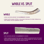 Natural Elk Antlers - Whole: Small Whole