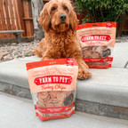 Turkey Chips Dog Treats: 4oz