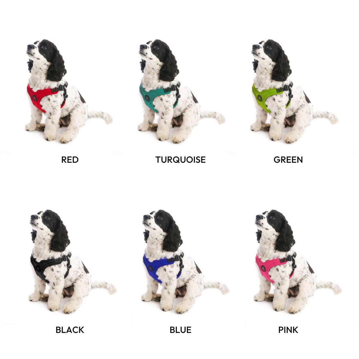 #04612 - Escape Free Sport Harness: Blue / Large Chest (16.5-24.25")