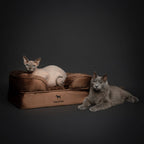 Velvet Orthopedic Pet Bed, Cooling Gel Memory Foam: S [20*15*8] / Brown