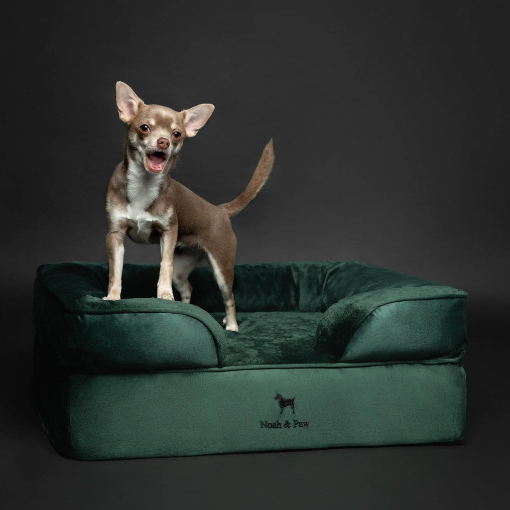 Velvet Orthopedic Pet Bed, Cooling Gel Memory Foam: S [20*15*8] / Brown
