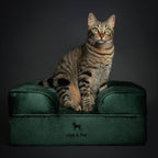 Velvet Orthopedic Pet Bed, Cooling Gel Memory Foam: S [20*15*8] / Brown