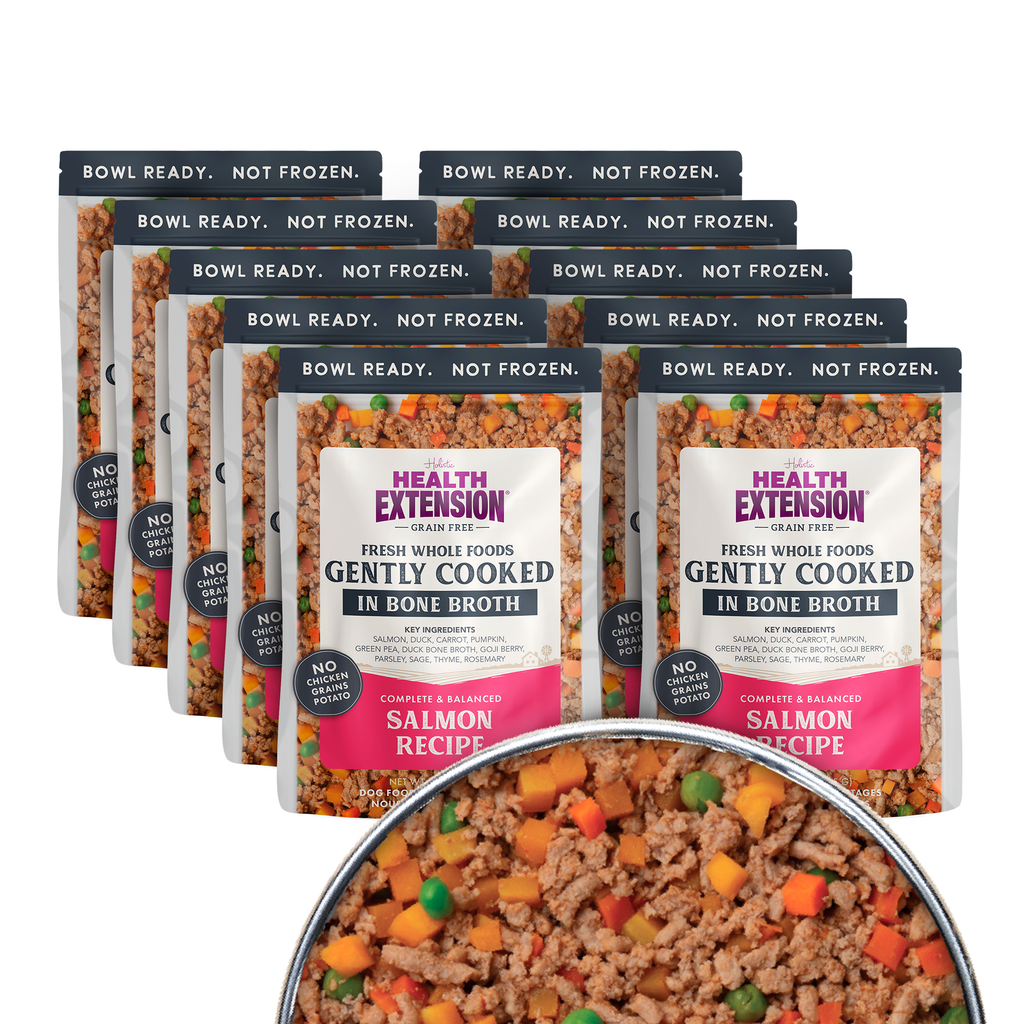 Gently Cooked Grain Free Salmon Recipe: 9oz pouch 10 pack
