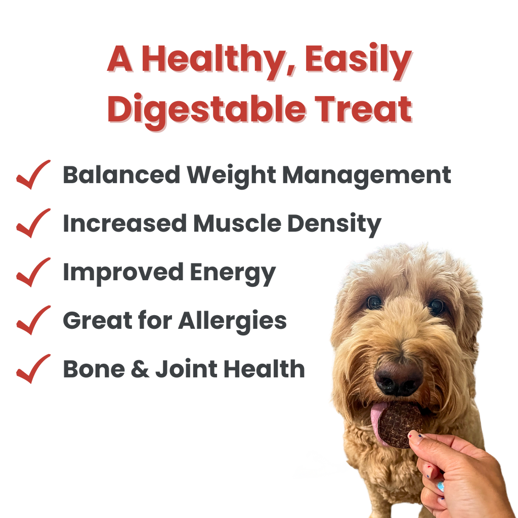 Beef Chips Dog Treats | 4 oz
