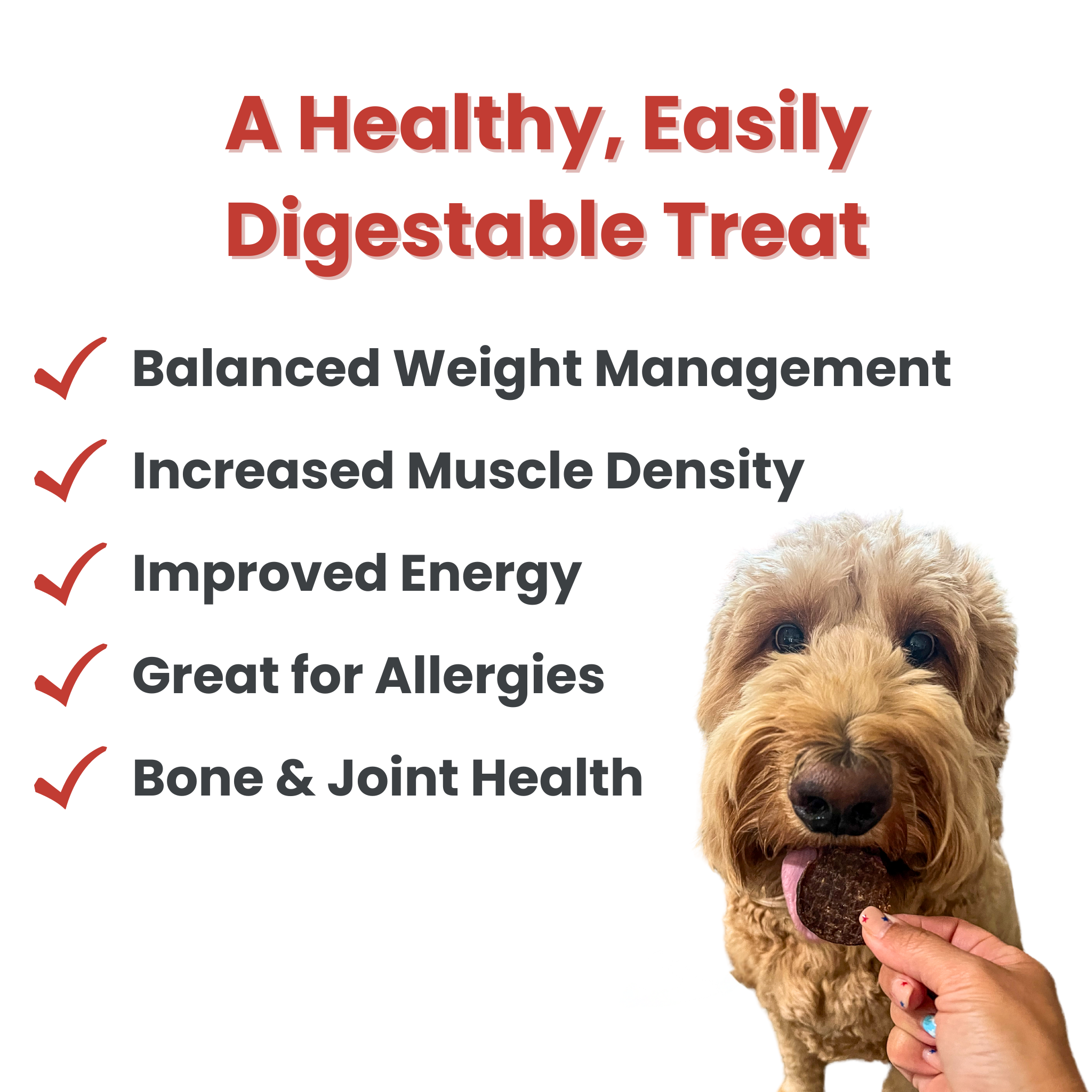 Beef Chips Dog Treats | 4 oz